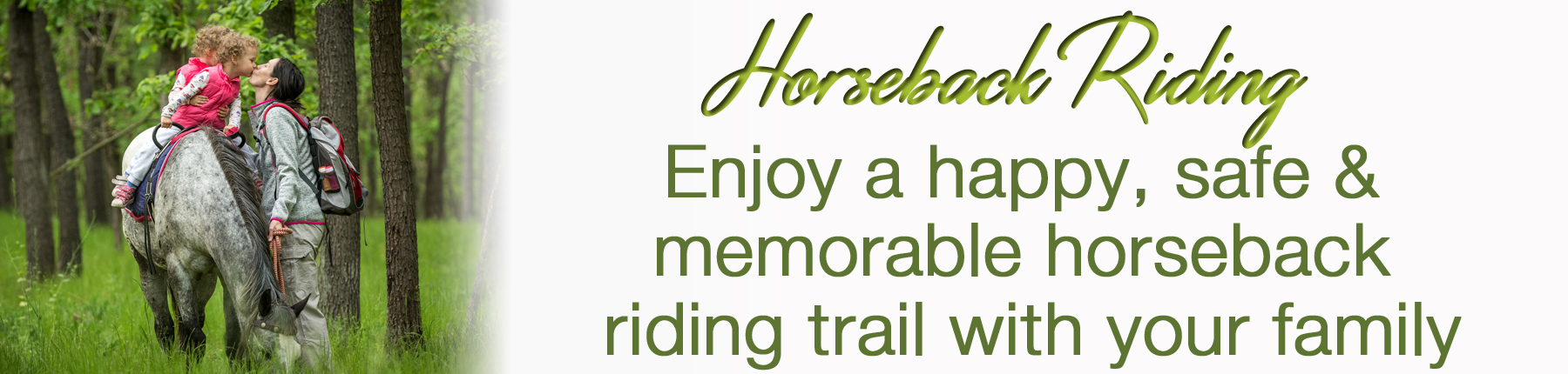 Horseback Riding Horseback Riding @ North Georgia Mountains