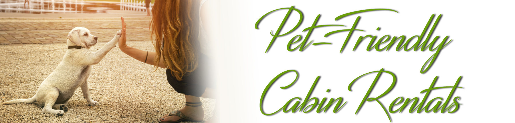 Pet Friendly Cabin Rentals North Georgia Mountains| Upscale Vacation Cabin Rnetals| Blairsville, Blue Ridge, Hiawassee, Georgia| Book Your Cabin Today @ 706.781-3892
