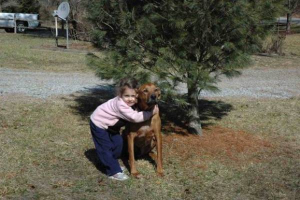 Toccoa Fish Trap - Pet Friendly