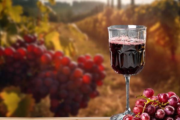 Wineries & Vineyards in North Georgia