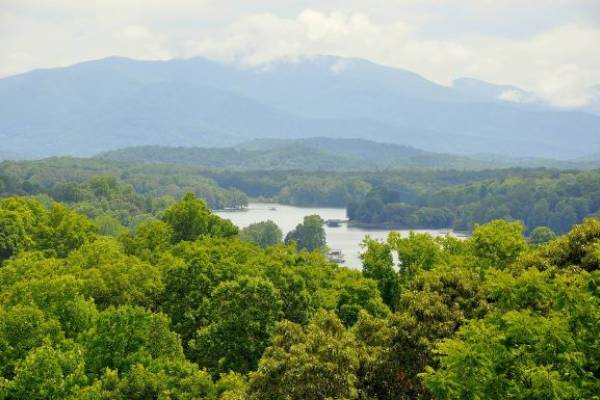 Mountain View Cabins