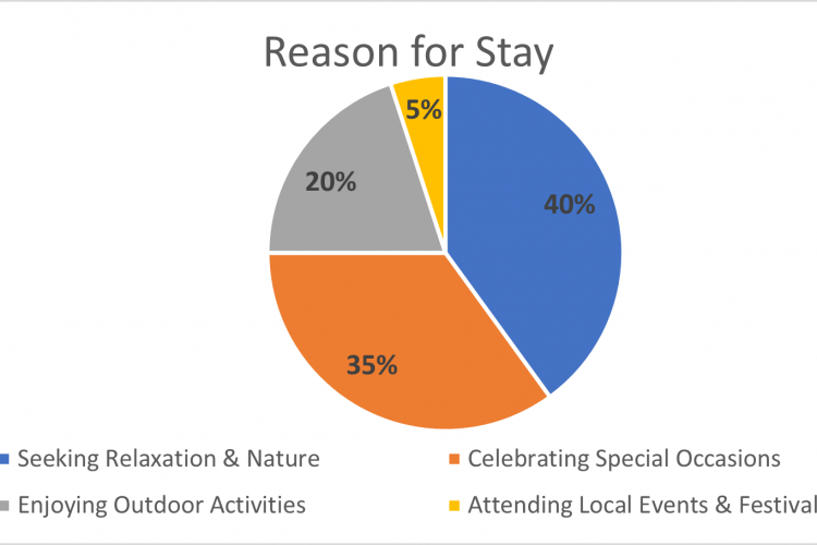 Reason for Stay Pie Chart