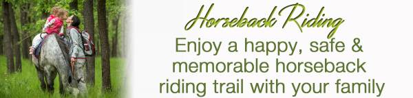 Horseback Riding Horseback Riding @ North Georgia Mountains
