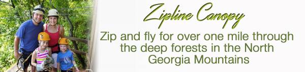 Ziplines Canopy Ziplines Canopy @ North Georgia Mountains