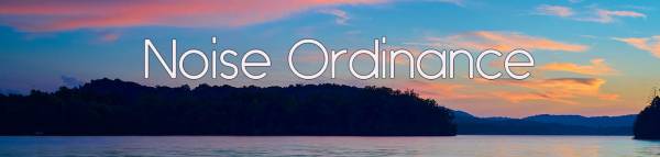 Noise Ordenance STVR 2024 Fannin County