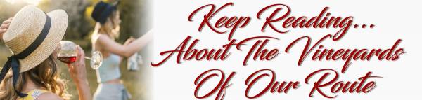 More About Vineyards on Our Route