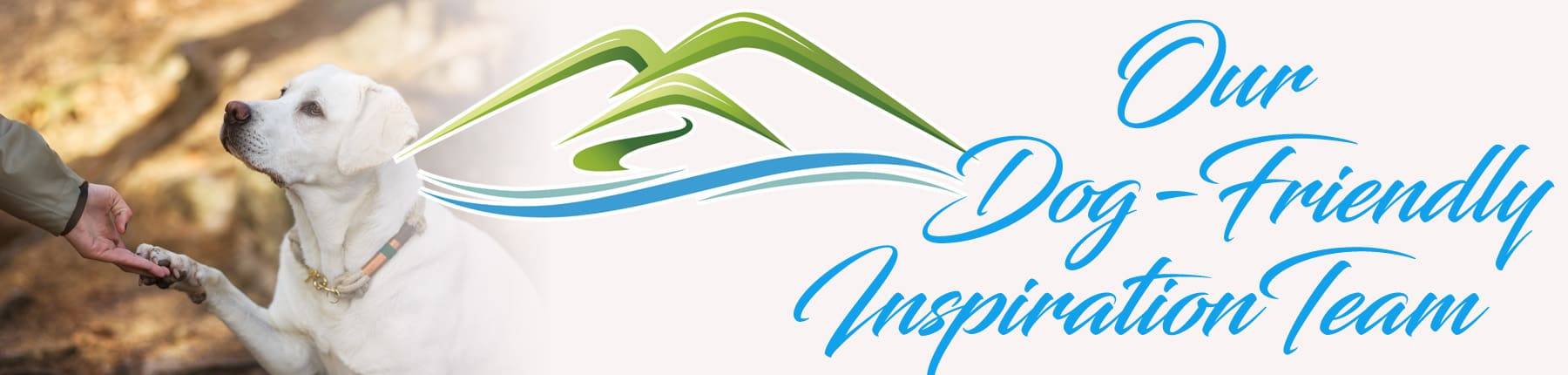 Our Dog-Friendly Inspirational Team