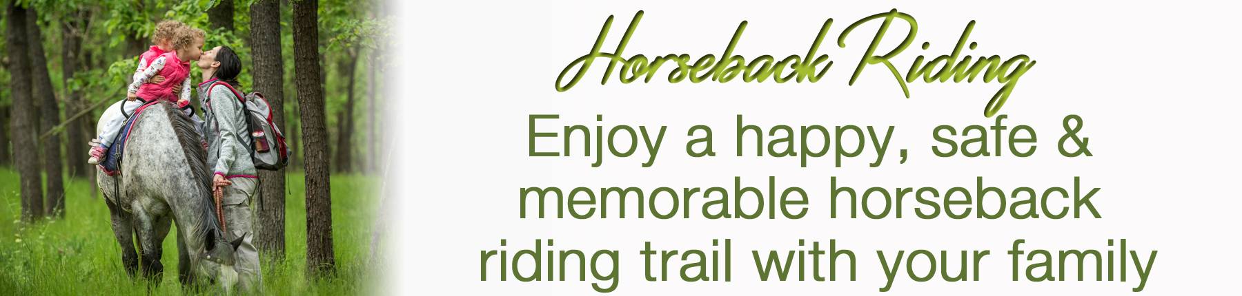 Horseback Riding Horseback Riding @ North Georgia Mountains