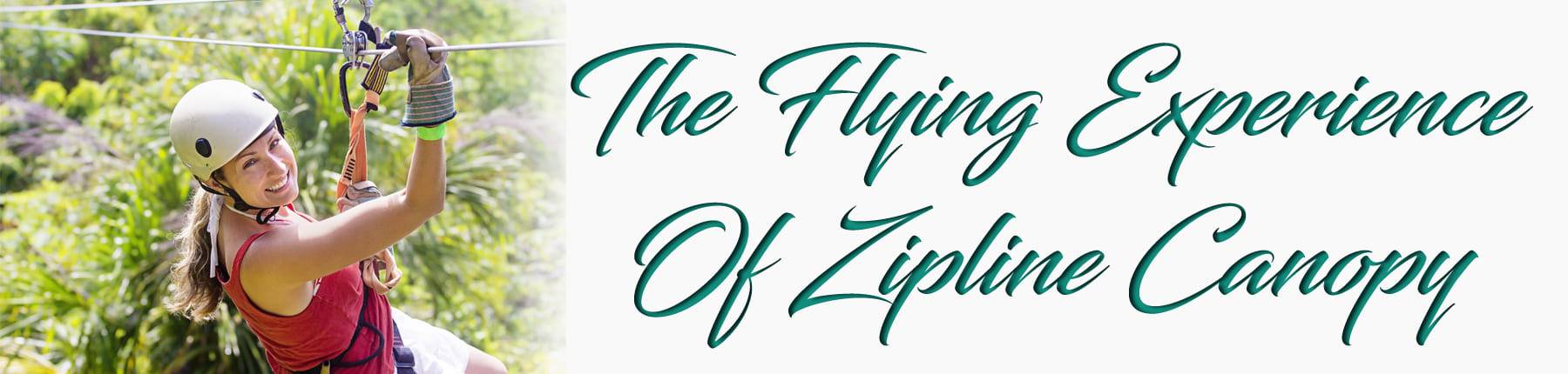 Ziplne Canopy