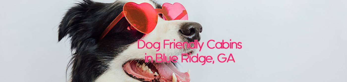 Dog Friendly Properties in Blue Ridge, GA | North Georgia Cabin Rentals | Georgia Vacation Rentals